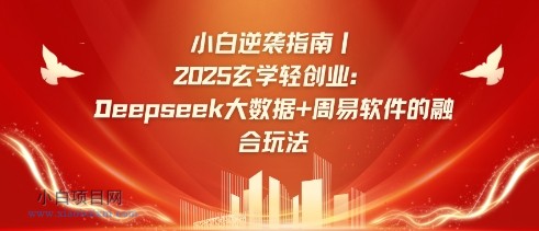 小白逆袭指南，2025玄学轻创业：Deepseek大数据+周易算法的融合玩法-小白项目分享网