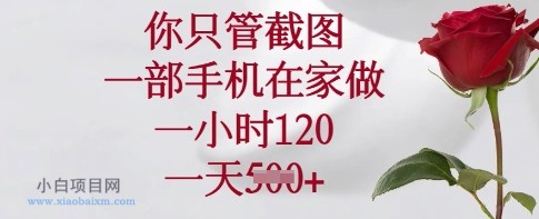你只管截图，一部手机在家做，一小时120.一天5张【揭秘】-小白项目分享网