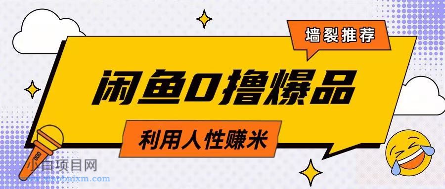 咸鱼0撸玩法利用人性售卖商品达到日挣2张的效果-小白项目分享网