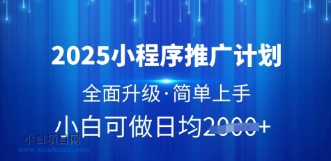 2025小程序推广计划，全面升级，简单上手，日均多张【揭秘】-小白项目分享网