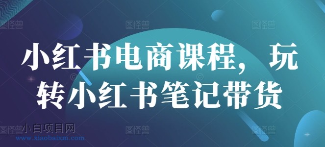 小红书电商课程，玩转小红书笔记带货-小白项目分享网