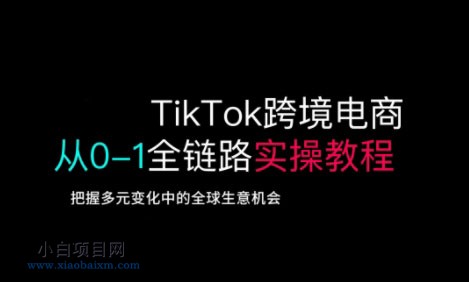 TikTok跨境电商从0-1全链路全方位实操教程，把握多元变化中的全球生意机会-小白项目分享网