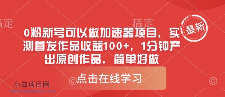 0粉新号可以做的加速器项目,实测首发作品收益100+,1分钟产出原创作品,简单好做