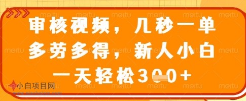 审核视频，几秒一单，多劳多得，新人小白一天轻松3张【揭秘】-小白项目分享网