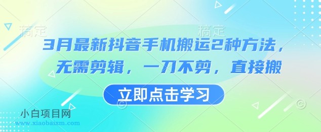 3月最新抖音手机搬运2种方法，无需剪辑，一刀不剪，直接搬-小白项目分享网