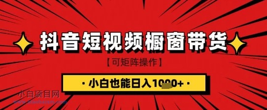抖音短视频食品橱窗带货，小白轻松上手日入1k+【揭秘】-小白项目分享网