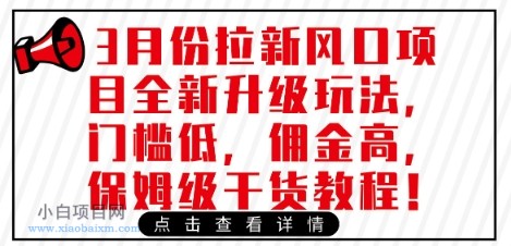 3月份拉新风口项目全新升级玩法，门槛低，佣金高，保姆级干货教程-小白项目分享网