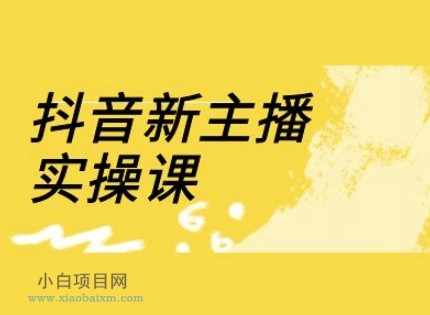 抖音新主播实操课，直播间流量运营线上实操课(18节)-小白项目分享网