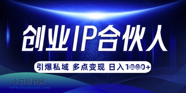 云帆·创业ip合伙人打造3.0，从0到1教你做网创，实现月入过W-小白项目分享网