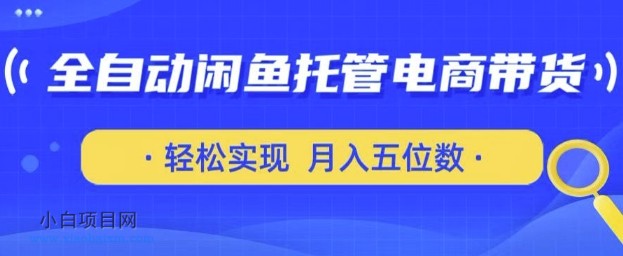 全自动闲鱼托管式电商带货，只需一部安卓手机和一个闲鱼号，轻松实现月入五位数【揭秘】-小白项目分享网