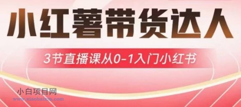 小红薯达人带货启航计划,3节直播课从0-1入门小红书