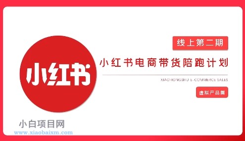 2025小红书虚拟电商实战课，从0到1打造无货源店铺，AI+爆款笔记轻松变现-小白项目分享网