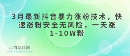 3月最新抖音暴力涨粉技术，快速涨粉安全无风险，一天涨1-10W粉-小白项目分享网