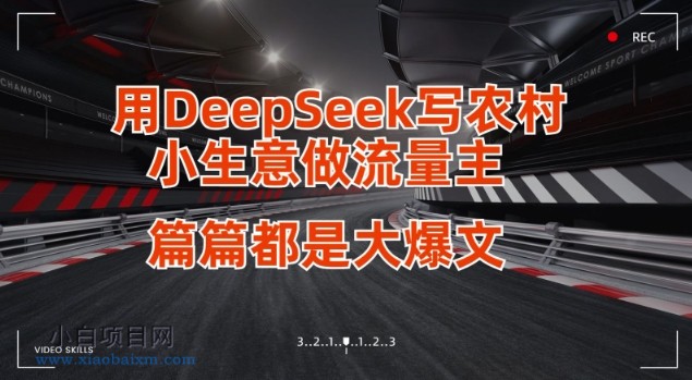 用DeepSeek写小生意做流量主，篇篇都是大爆文-小白项目分享网