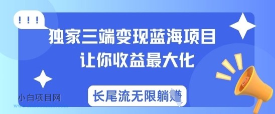 独家三端变现蓝海项目，让你收益最大化，长尾流无限躺挣-小白项目分享网