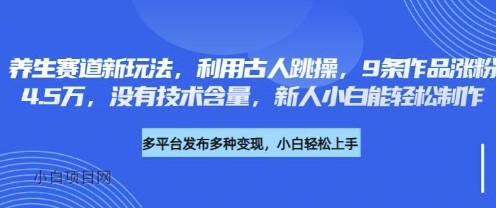 养生赛道新玩法，利用古人跳操，9条作品涨粉4.5W，没有技术含量，新人小白能轻松制作-小白项目分享网