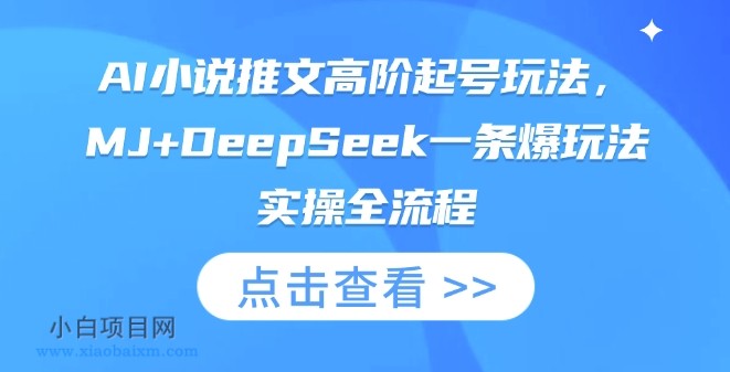 AI小说推文高阶起号玩法，MJ+DeepSeek一条爆玩法实操全流程-小白项目分享网