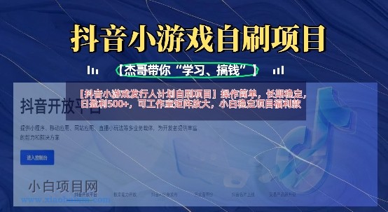抖音小游戏发行人计划自刷项目，操作简单，长期稳定，日盈利5张，可工作室矩阵放大-小白项目分享网