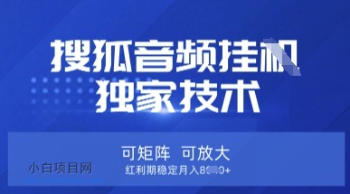 【搜狐音频挂G】独家技术,可矩阵可放大,红利期稳定月入8k【揭秘】