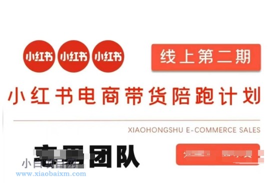 小红书电商带货课2期,月利润20个的小红书电商的有货源,无货源,虚拟产品,付费投流等整套玩法