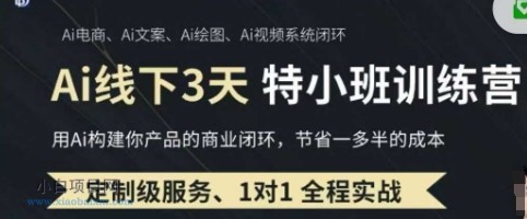 AI实操培训第20-21期线下,0基础保姆级教程,3月最新整理,企业获客、降本增效、打造超级个体-小白项目分享网