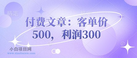 付费文章:客单价500,利润300