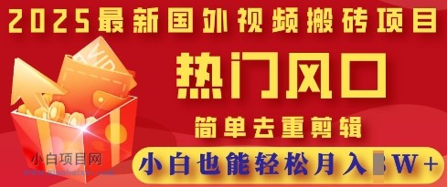 2025最新视频搬砖项目，热门风口，简单去重剪辑，小白也能轻松月入过W-小白项目分享网