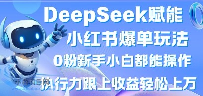 DeepSeek赋能小红书爆单玩法0粉新手小白都能操作，执行力跟上收益轻松上W，懒人勿做-小白项目分享网