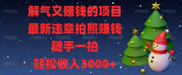 解气又挣钱的项目，最新违章拍照挣钱，随手一拍，轻松收入数张【揭秘】-小白项目分享网
