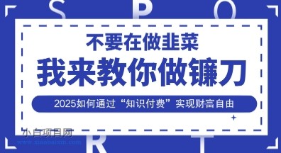 韭菜生涯终结者，我来教你做镰刀，2025如何通过“知识付费”实现财F自由【揭秘】-小白项目分享网