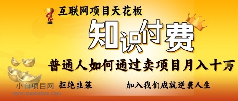 互联网项目天花板，知识付费项目，普通人如何通过卖项目月入十个，拒绝韭菜【揭秘】-小白项目分享网