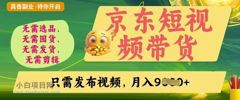 京东短视频带货,开启零门槛躺Z新时代【揭秘】