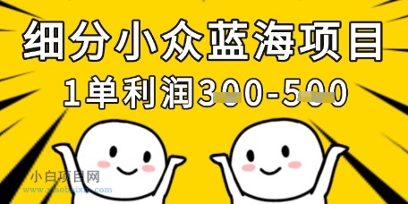 细分小众蓝海项目,一单利润3张,每月收入稳定过1w+