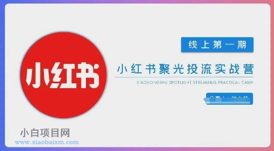 小红书聚光陪跑第一期,教你从0到1玩转小红书聚光投流,搭建小红书付费投流团队,更快的见到效果