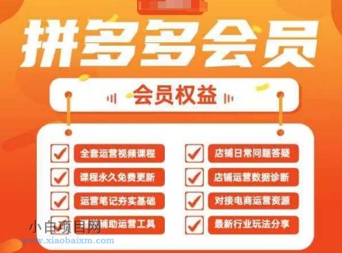 2025拼多多运营实战课,40节全流程教学,覆盖拼多多运营全链路