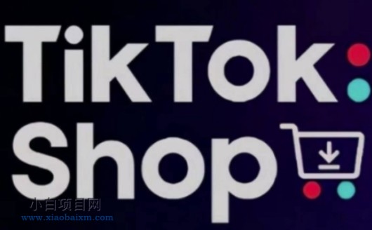 TikTokShop跨境电商0-1实战，手把手教你低成本启动海外市场-小白项目分享网