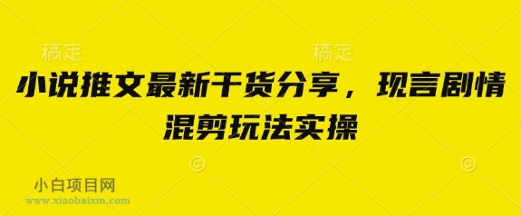 小说推文最新干货分享，现言剧情混剪玩法实操-小白项目分享网