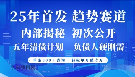 2025年首次公开,真正的事业型赛道,客咨不断,单月轻松破W