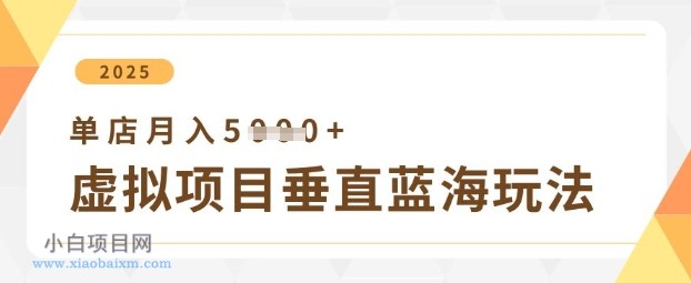 虚拟项目垂直玩法,实现单店月入5k+