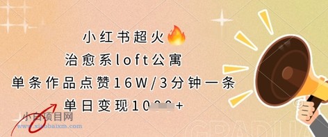 小红书超火的治愈系loft公寓,单条作品点赞16W,3分钟一条,单日变现数张