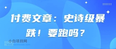 付费文章：史诗级暴跌！要跑吗？-小白项目分享网