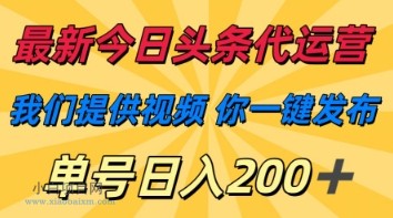 最新今日头条代运营,我们提供视频,你一键发布,单号日入200+【揭秘】