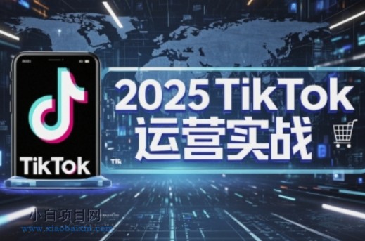 2025TikTok电商运营,掌握TikTok店铺运营核心技巧,实现低成本高转化
