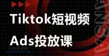 Ads视频投放课,tiktok短视频广告投放课