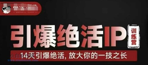 引爆绝活IP训练营,14天引爆绝活,放大你的一技之长