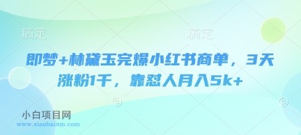 即梦+林黛玉完爆小红书商单,3天涨粉1千,靠怼人月入5k+