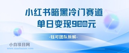 小红书冷门”暗黑”赛道，单日收益多张-小白项目分享网