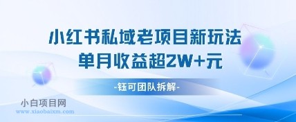 小红书私域项目新玩法，单月变现过W+-小白项目分享网