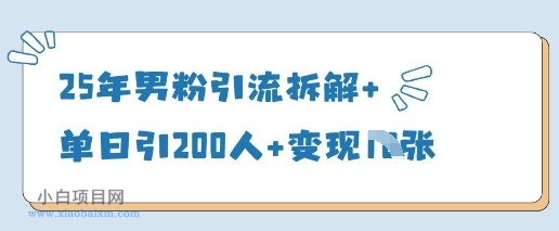 25年男粉引流拆解+单日引200人+变现多张-小白项目分享网