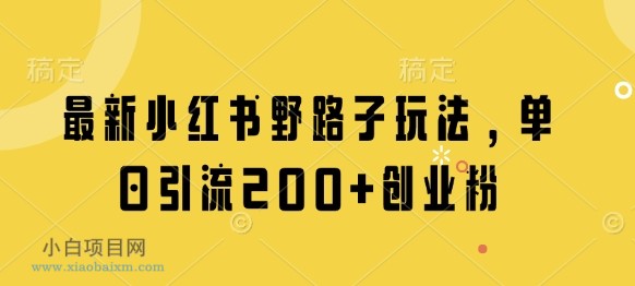 最新小红书野路子玩法,单日引流200+创业粉